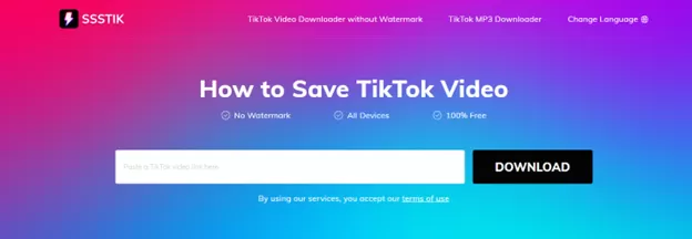 6 Best YouTube to MP4 Converter Tools (Free/Online/Paid) 6 ssstik Video Downloader