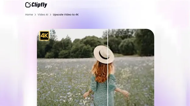 10 4K Upscaler You Must Try on Desktop, Mobile and Online 13 Clipfly