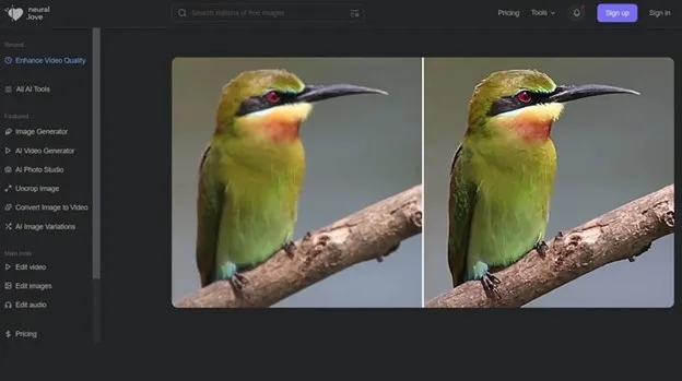 10 4K Upscaler You Must Try on Desktop, Mobile and Online 12 Neural.love